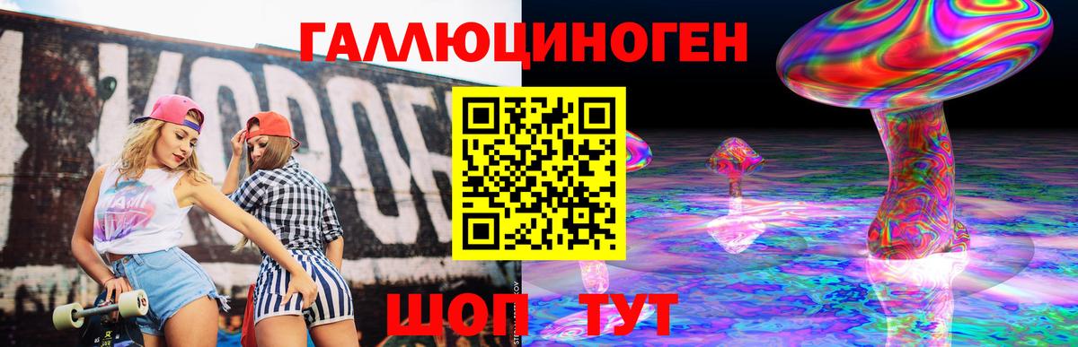 Губкинский  Псилоцибиновые грибы Psilocybine cubensis  Псилоцибиновые грибы прущие грибы  Вход с VPN 