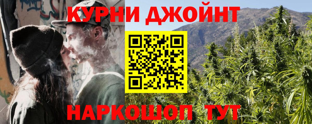 Бошки Шишки MAZAR Губкинский